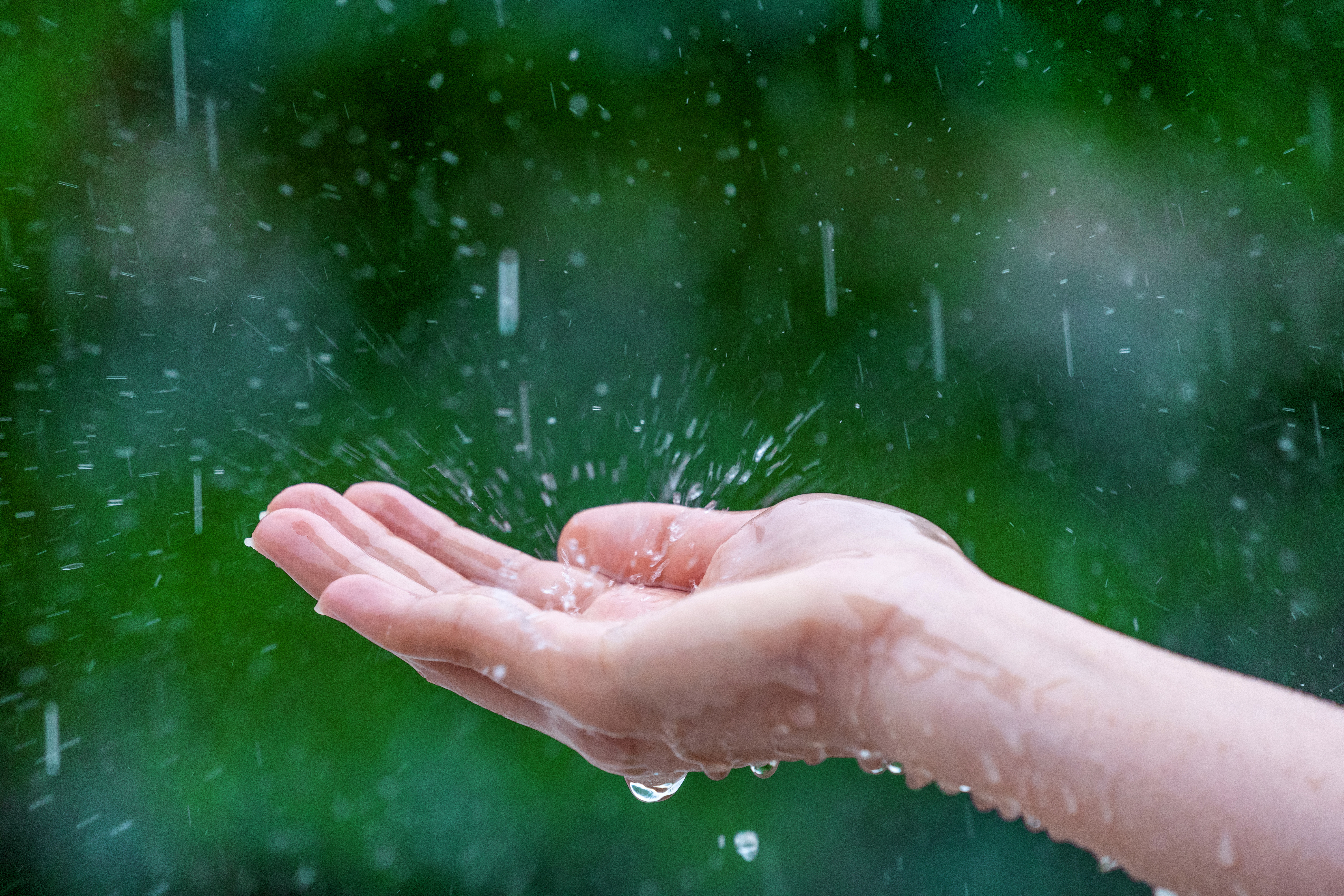 ¿Como aprovechar el agua de lluvia?